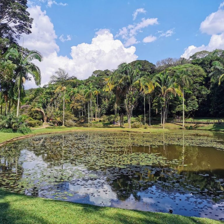 Foto real de Jardim Botânico de São Paulo