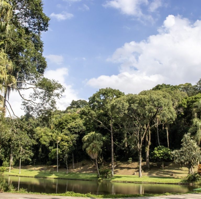 Jardim Botânico ou Horto Florestal