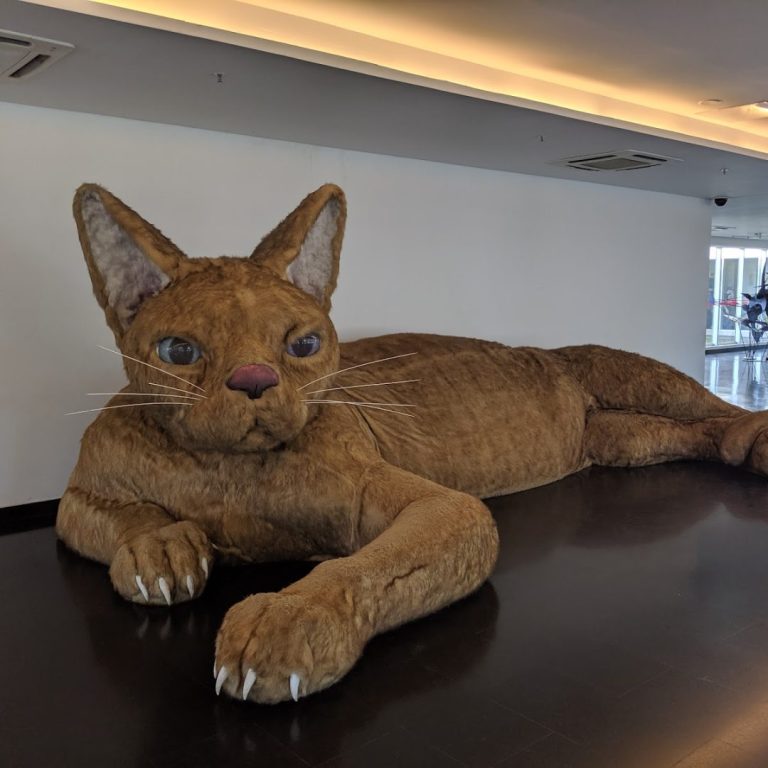 Foto real de Museu de Arte Contemporânea da Universidade de São Paulo