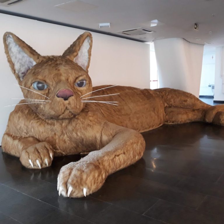 Foto real de Museu de Arte Moderna de São Paulo (MAM São Paulo)