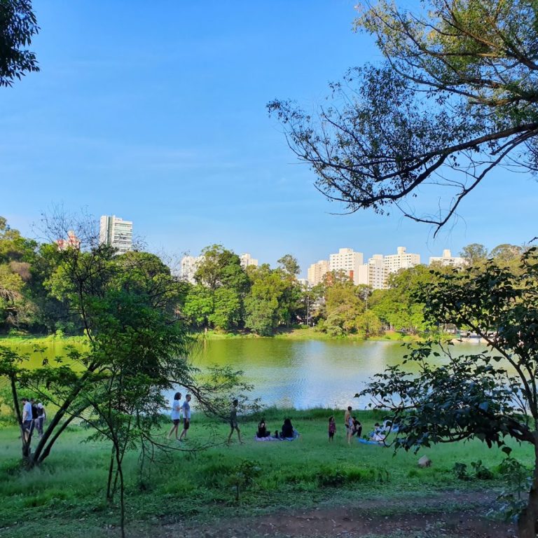 Foto real de Parque da Aclimação