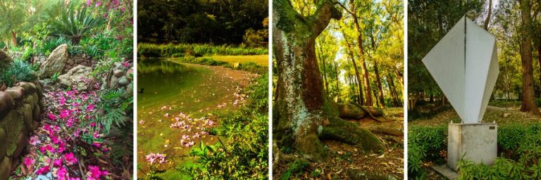 Parque da Aclimação