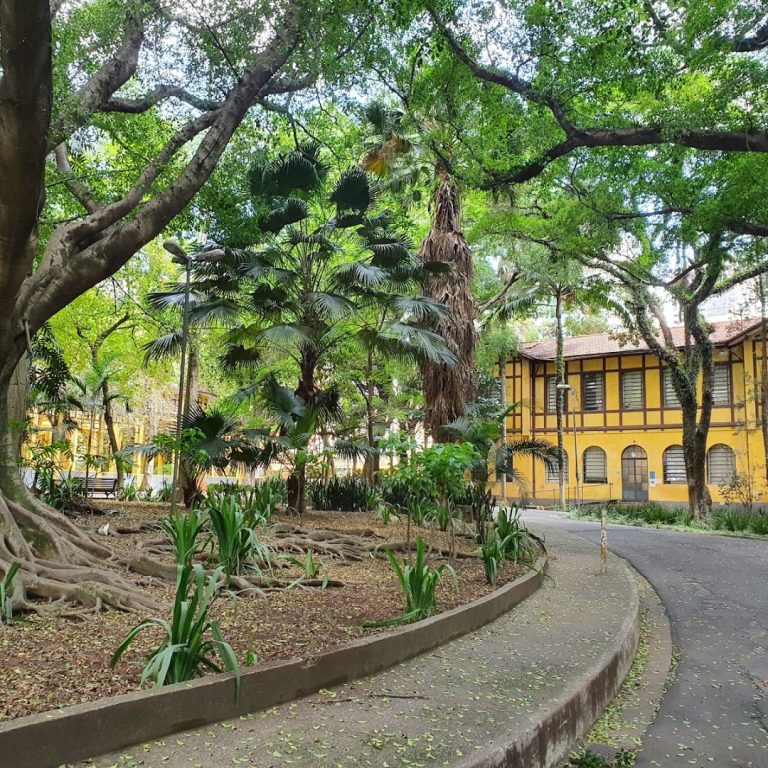Foto real de Parque da Água Branca