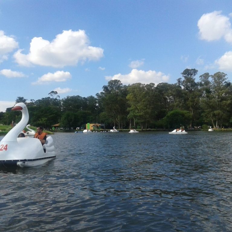 Foto real de Parque Ecológico do Tietê