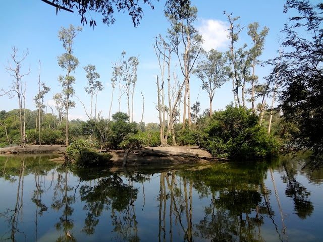 Foto real de Parque Ecológico do Tietê