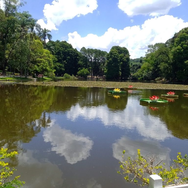 Foto real de Parque Estadual Alberto Löfgren - Horto Florestal