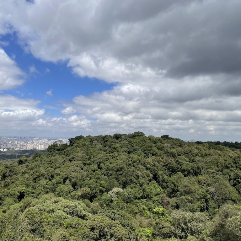 Foto real de Parque Estadual Cantareira - Núcleo Pedra Grande
