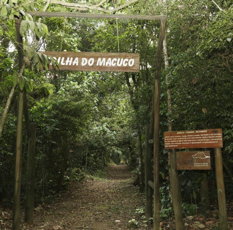 Foto real de Parque Estadual Cantareira - Núcleo Pedra Grande