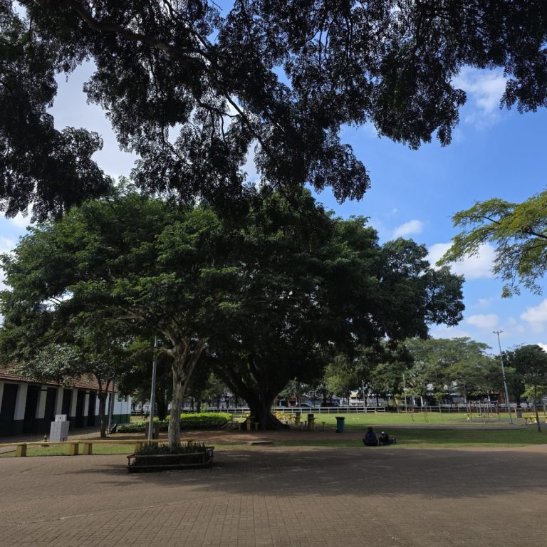 Foto real de Parque Trote