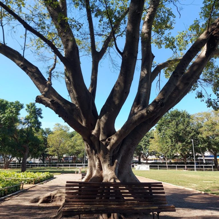 Foto real de Parque Trote