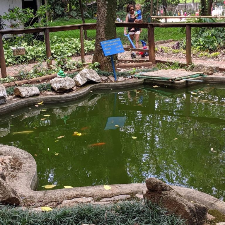 Foto real de Parque Trote