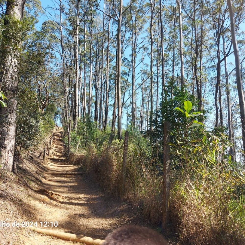 Foto real de Trilha do Pai Zé