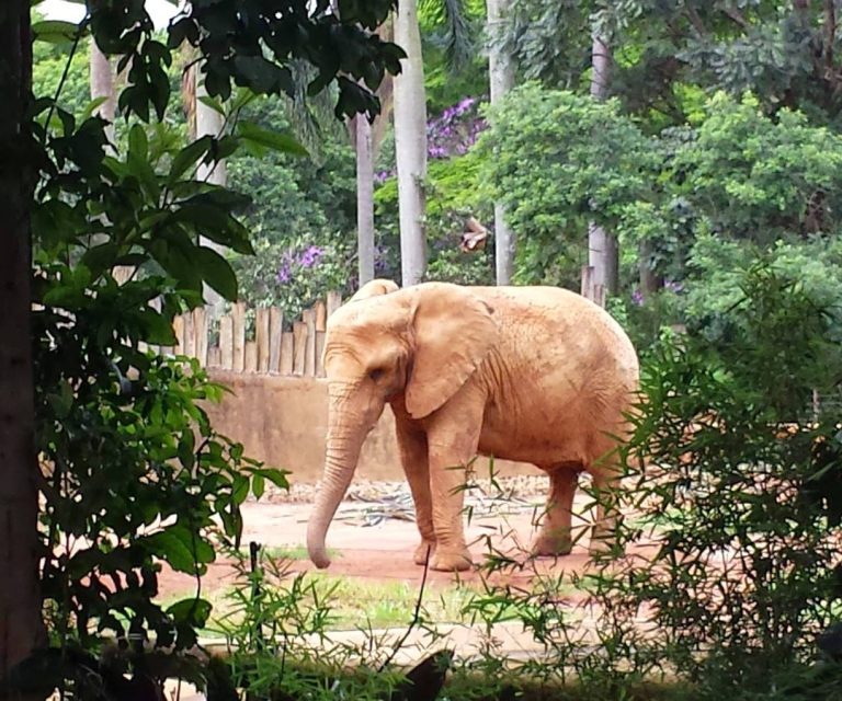 Foto real de Zoo São Paulo