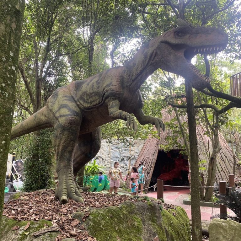 Foto real de Zoo São Paulo